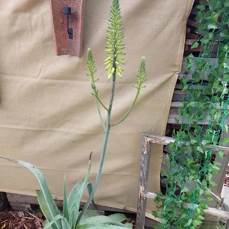 In Appartamento Bernau bei Berlin