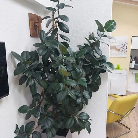 In Apartament *