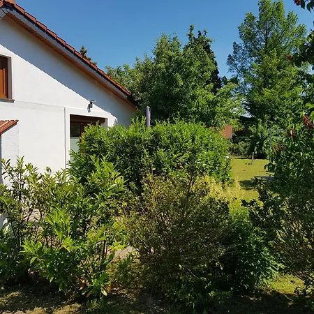 Apartament In *