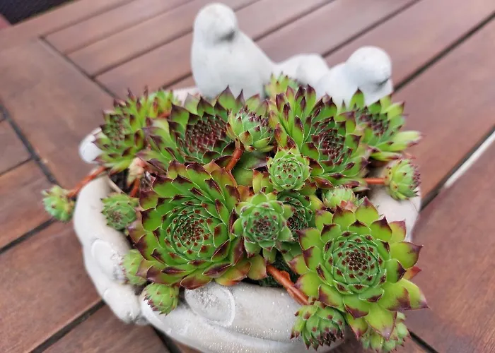 Lägenhet In Bernau bei Berlin